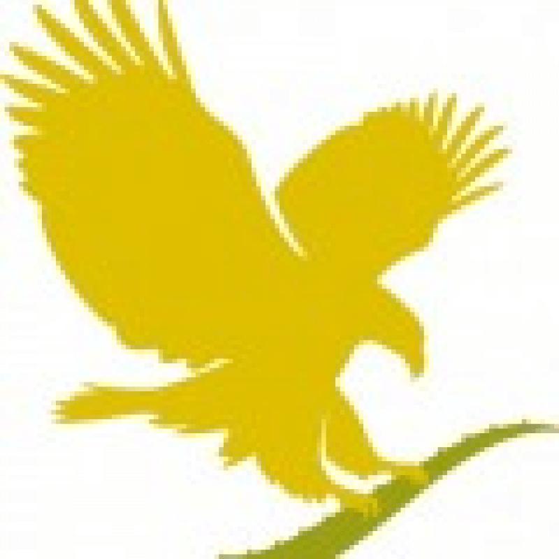 Alves Jur&iacute;dico Advocacia e Consultoria