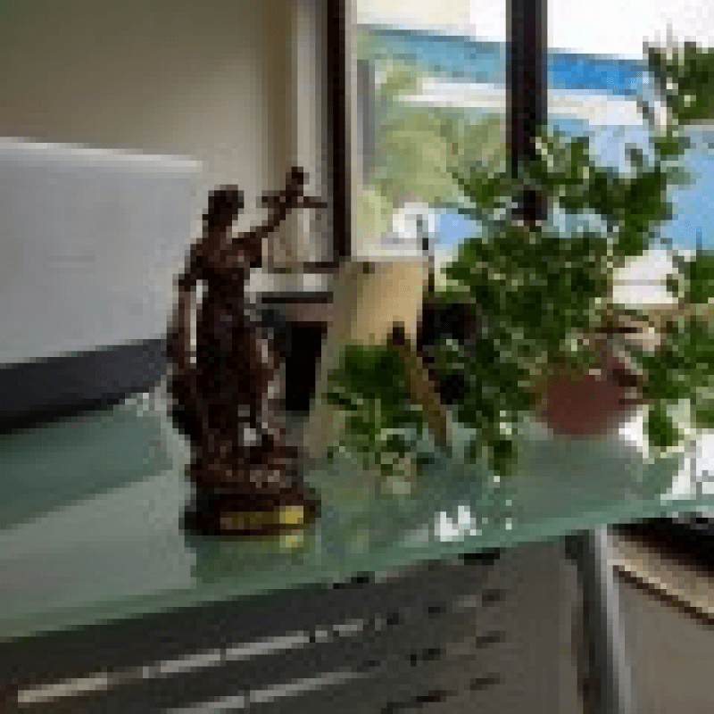 Veiga de Castro Advogados Associados - Barra da Tijuca - Rio de Janeiro - Rj