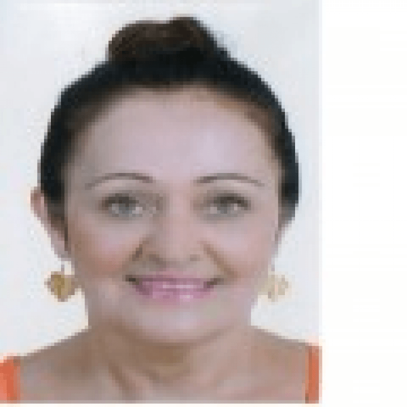 Bacharel Iara Palasson Garcia