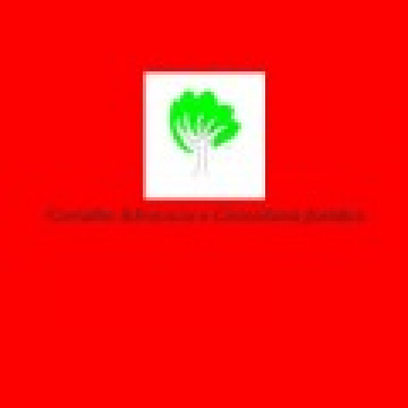 Carvalho Advocacia e Consultoria Jur&iacute;dica